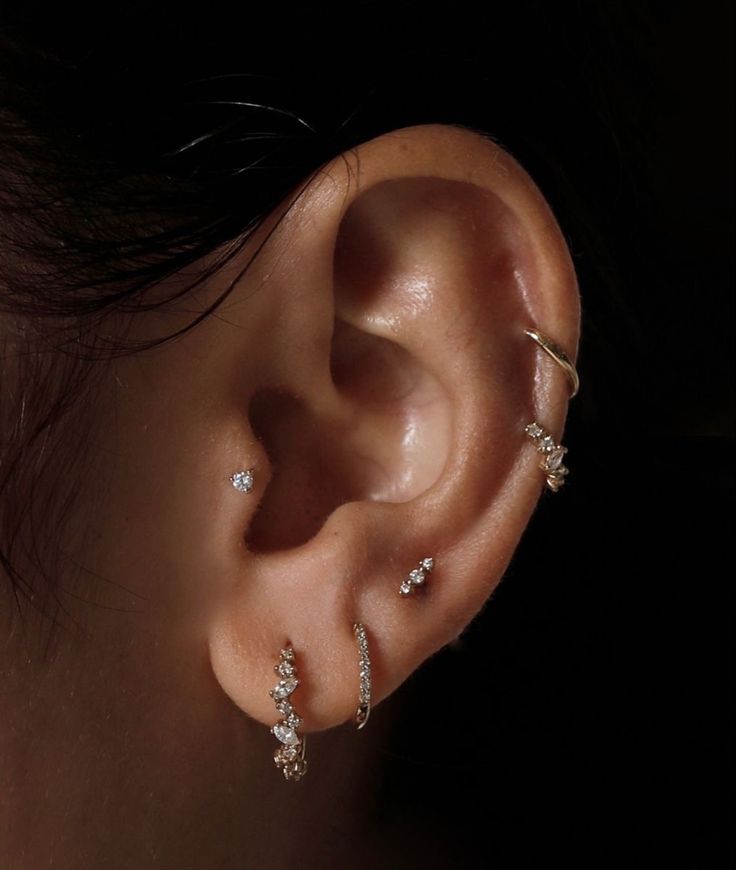 Multiple ear piercings with fine jewellery at Sid Ink Tattoo, Sarojini Nagar Delhi